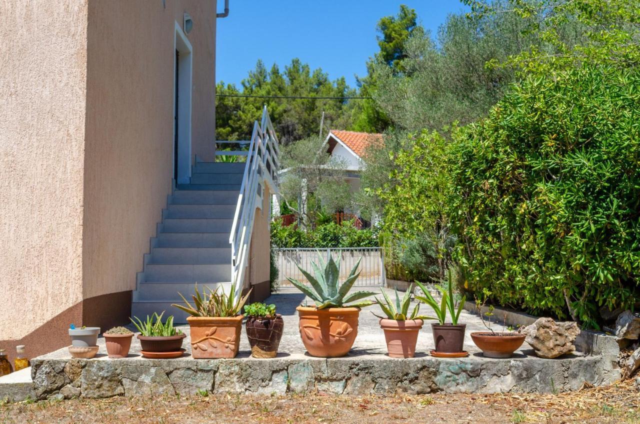 Apartment Tanja Vela Luka Kültér fotó