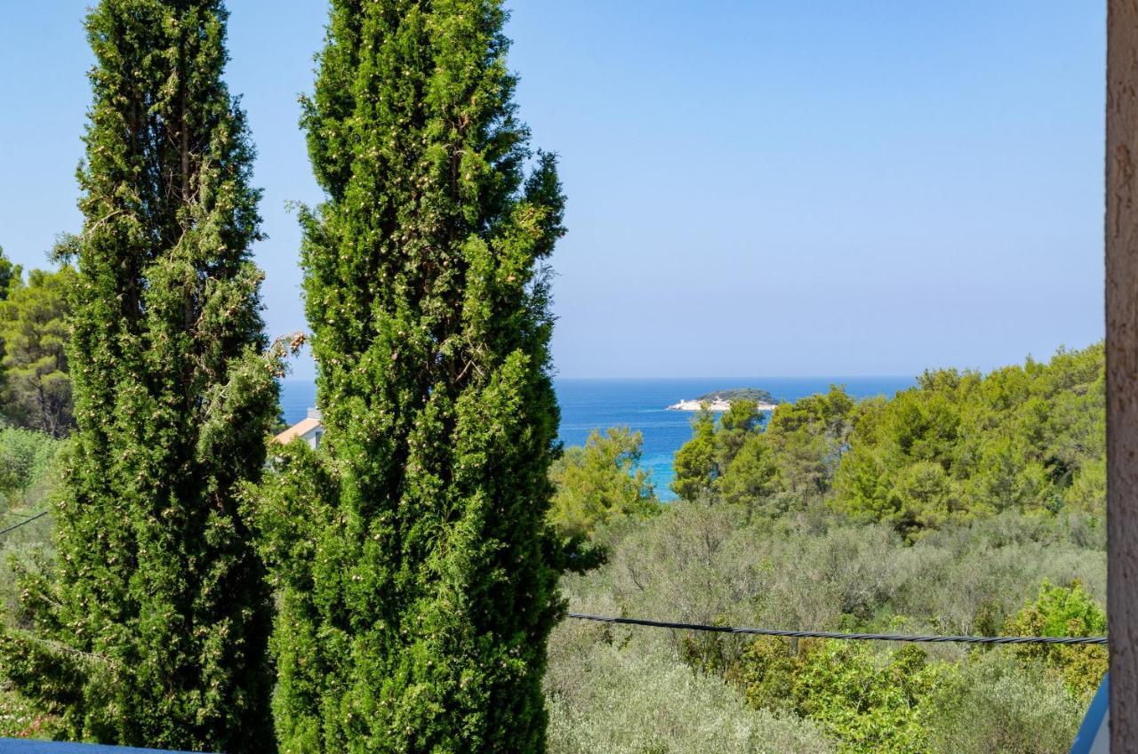 Apartment Tanja Vela Luka Kültér fotó