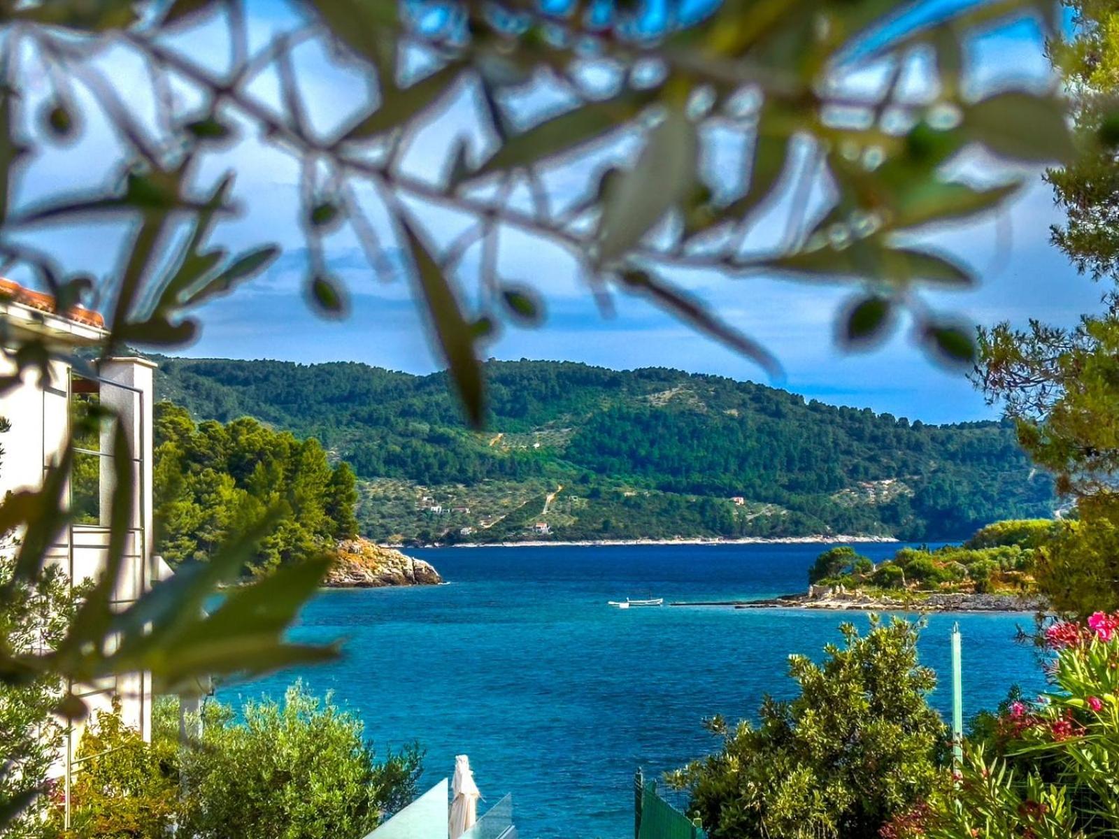 Apartment Tanja Vela Luka Kültér fotó
