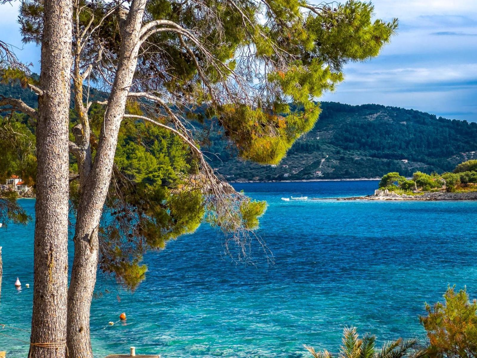 Apartment Tanja Vela Luka Kültér fotó