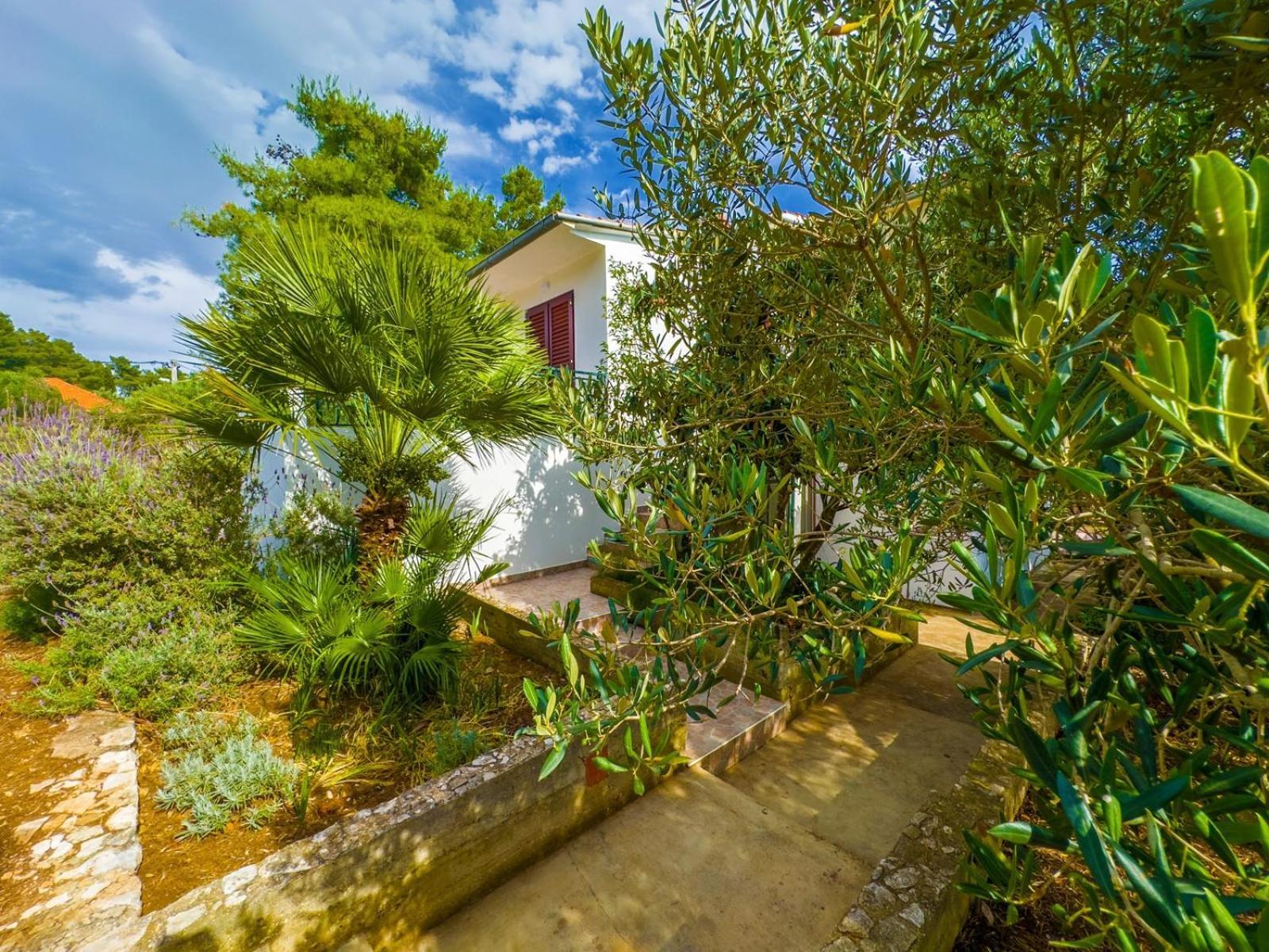 Apartment Tanja Vela Luka Kültér fotó